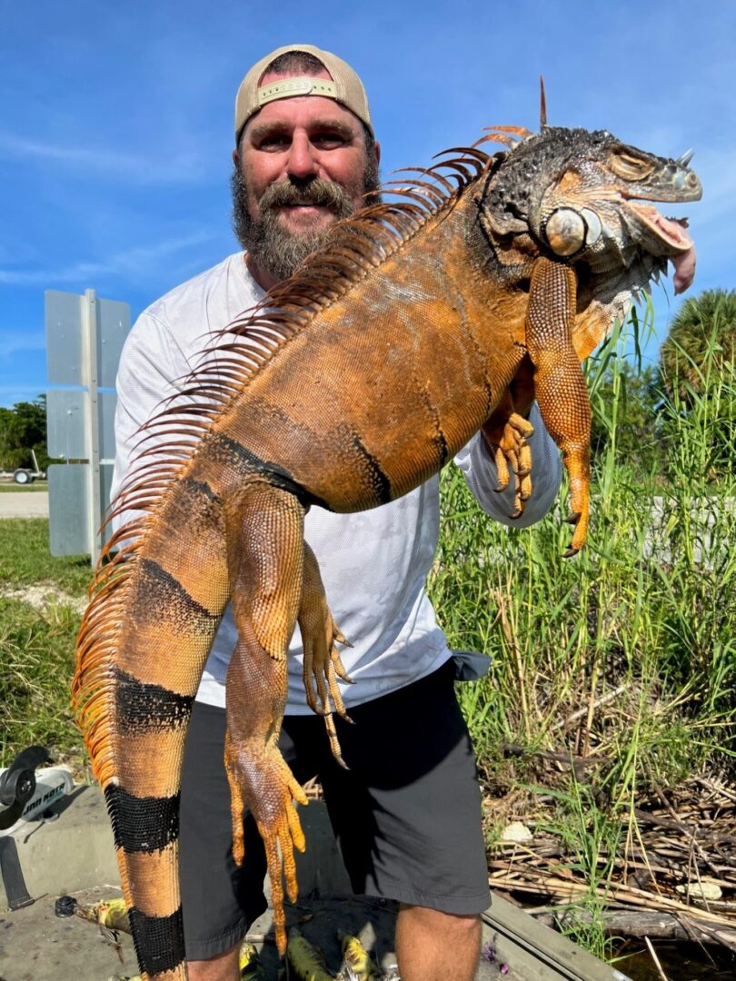 closeup shot of a man holding a giant Iguana